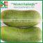 Fresh green radish for exporting