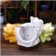 Assorted color wholesale cat shape small animal ceramic flower pot for decoration                        
                                                                                Supplier's Choice