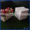 2016 Customized Acrylic Donation Charity Box / Plexiglass Found-raising Box
