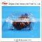 Blister Disposable Plastic Clear Fresh Grape Container