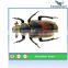 mechanical kids playground robotic insect model