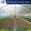 Professional Chinese tunnel single layer PVC/PE greenhouse for sale