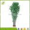 decorative wholesale dried bamboo bonsai tree for sale