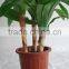 China wholesale home decoration artificial bonsai tree plastic artificial plants bonsai handmade artificial bonsai