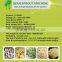 soya bean sprout/automatic sprout machine/yellow bean