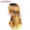 2016 New Arrival Large Stock Ombre Afro Full Lace Wig Human Hair Wig