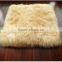 New Brand Australasian Wool Fur Pillow Case Sheep Fur Cushion Shipping Fast Safety