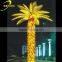 Best products for import palm tree costume