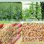 sell gingelly Oil/100% pure high quality gingeli oil/sesame oil