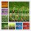 grass flooring for basketball tennis