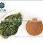 HIgh Purity green tea extract capsule with 98% tea polypenols Macha powder Green tea extract 1kg