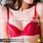 Lady Women Girl Lace Floral Bra Underwear Underwire Push Up Bra Set Cup A-C