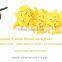 Vacuum Freeze Dried Jackfruit tin can HALAL , HACCP , ISO 22000 , KOSHER and GMP Certified