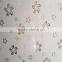 High quality best price back painted glass sheets with Italy Fenzi paint with CE&ISO