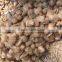 Pollachi Fresh Matured COCONUT for Global GAP Certified