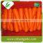 Best selling products fresh carrot