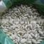 Best Factory Price of White Kidney Beans