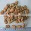 Good Quality Hot Sale Dried Broad Beans