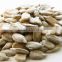 sunflower kernels from factory sunflower seeds without shell sunflower kernels