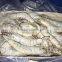 Frozen Shrimp Vannamei White Shrimp HLSO,HOSO