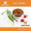 RBCHEM Liquid Chelated Ferrum Organic Fertilizer Hot Sale