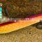 Sea fishing bait metal jigging lure