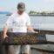 Aquaculture oyster bag oyster basket bag