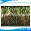 Chinese multi-stem artificial grass for garden