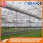 Multifunction Plastic film greenhouse for Agricultural farming