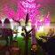 SJ0191121 Cherry blossom light tree/light up cherry tree