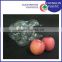 Disposable Plastic fruit Packing Container