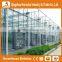 Heracles High quality customized glass greenhouse with hydroponic system