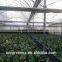 used greenhouse frames for sale