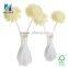 Rattan Stick & Sola Flower for Reed Diffuser
