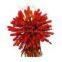 1m ematches, electric igniters, display igniters for fireworks firing system