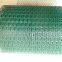 11/16'' Galvanized Poultry netting  (0.4mm-3mm)