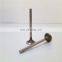Diesel engine cylinder block parts K19 K38 K50 Exhaust Valve  3035110