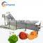 industrial automatic 100kg 500kg vegetable fruit washing machine