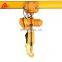 Rian proof high protection grade electric chain hoist with trolley