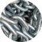 Galvanized anchor chain wholesaler