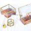 Glass Brass Display Box Exquisite Wedding Gift Storage Jewel Box Jewelry Jewel Box Glass