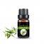 Factory Wholesale  Eucalyptus Essential Oil Pure Natural oil
