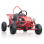 110CC Go-kart Buggy for Kids