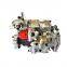 Diesel Engine PT Fuel Pump K19 KTA19 C525 Fuel Pump 4913582