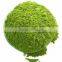 Nice Neem Leaf Powder Bulk Producers