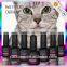 Wholesale cat eye bling color led nail gel polish,soak off magnetic uv gel polish