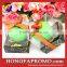 Simulation apple real paraffin wax candle light