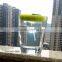 10oz clear glass drinking tumbler with silicone lid
