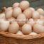 3000 eggs capacity egg cleaning washing machine for export
