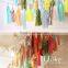 Bulk Diy Tissue Tassel Garland Elegant Diy Tassel Garland